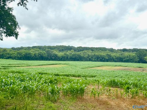 41+/- ACRES County Lake Rd, Gurley, AL, 35748-9726 | Card Image