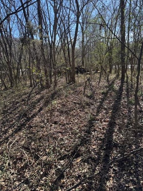 115 Shady Glenn Way, Cosby, TN, 37722 | Card Image