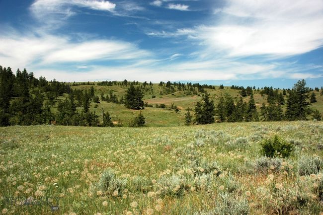 SC-25 - TBD Lone Rock Canyon Lane, Home with 0 bedrooms, 0 bathrooms and null parking in Hysham MT | Image 41