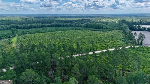 TRACT 9 Bennett Mill Pond Rd, Odum, GA, 31555 | Card Image