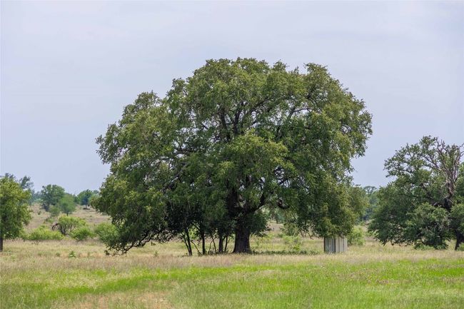 1183 Us Highway 84 W, Home with 3 bedrooms, 3 bathrooms and null parking in Mullin TX | Image 8
