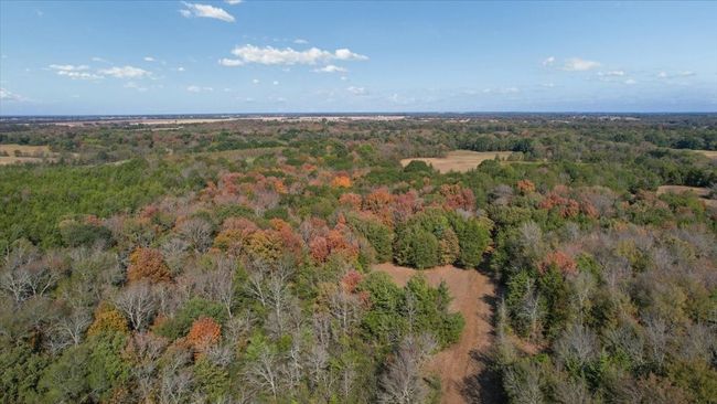 Aerial view | Image 16