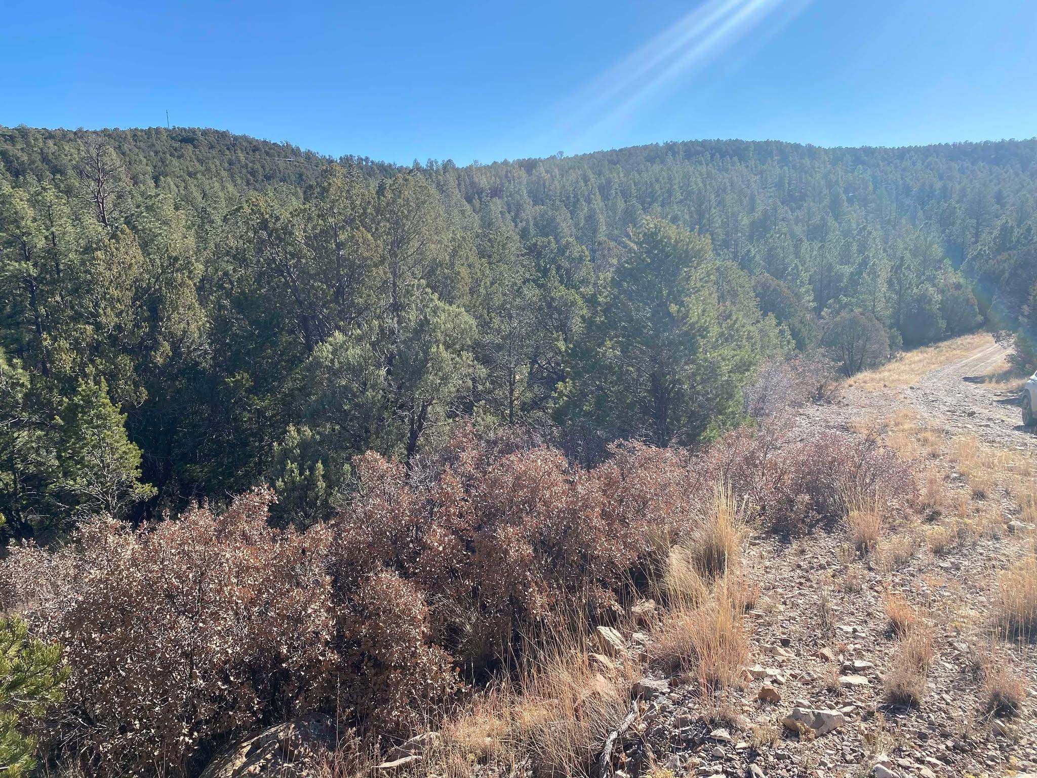 Land in Timberon 2