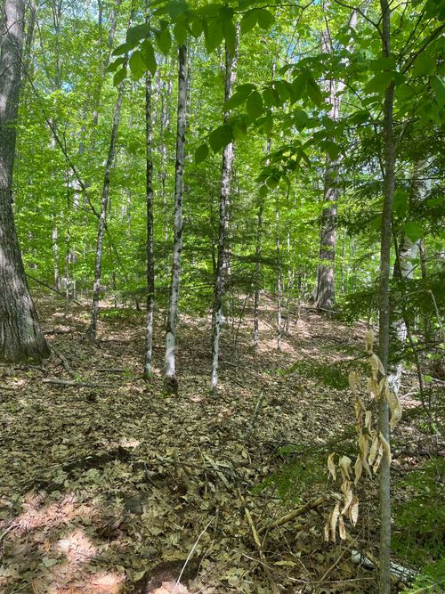 11-6-4 Reservoir Road, Campton, NH, 03223 | Card Image