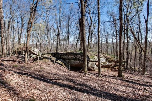 8 Long Mountain Trl, McMinnville, TN, 37110-8617 | Card Image