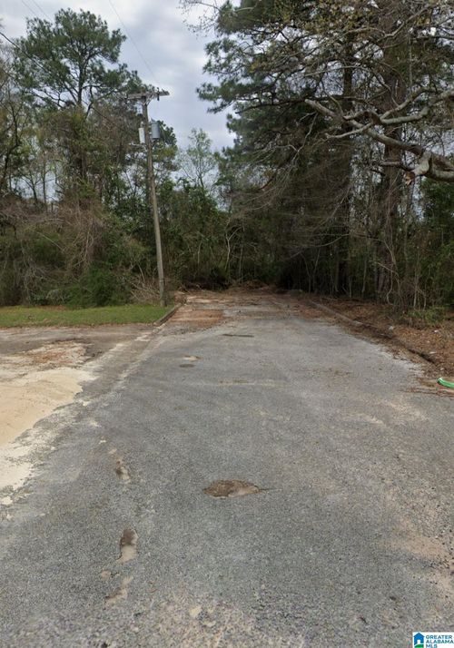 52-acres-0 Brundidge St, Opp, AL, 36467 | Card Image
