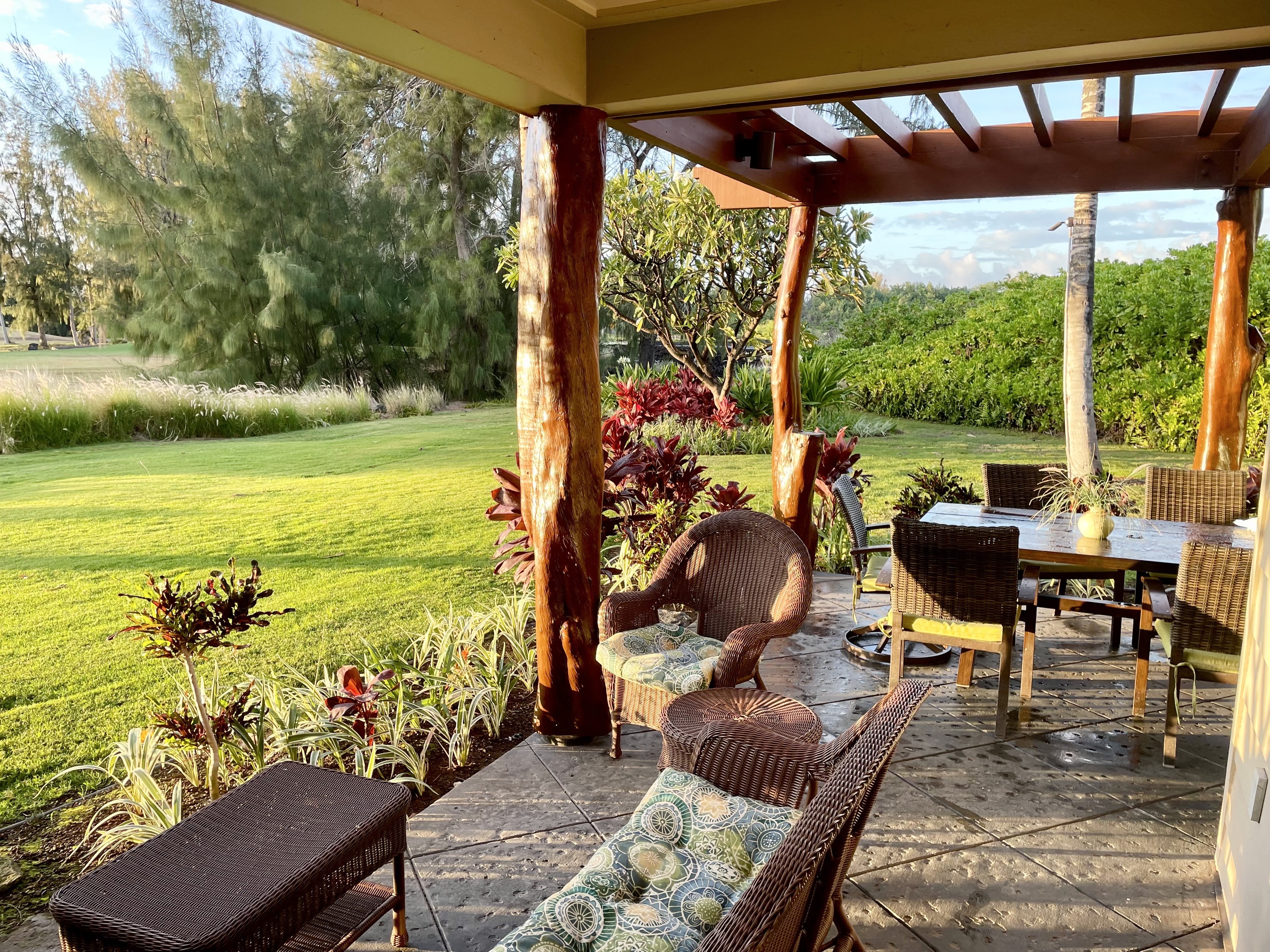 Residential in Waikoloa 2