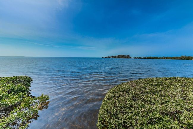 APT-200J - 300 S Florida Ave, Condo with 2 bedrooms, 2 bathrooms and null parking in TARPON SPRINGS FL | Image 59