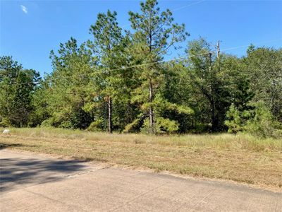 501 Big Buck Drive, Home with 0 bedrooms, 0 bathrooms and null parking in Cleveland TX | Image 1