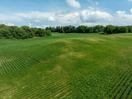 13acres 19th St, Hopkins, MI, 49328 | Card Image
