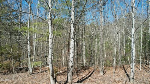 442 Hawken Dr, Walland, TN, 37886 | Card Image