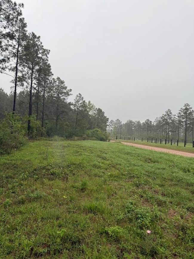 0 Richardson Rd E, Home with 0 bedrooms, 0 bathrooms and null parking in Livingston TX | Image 19