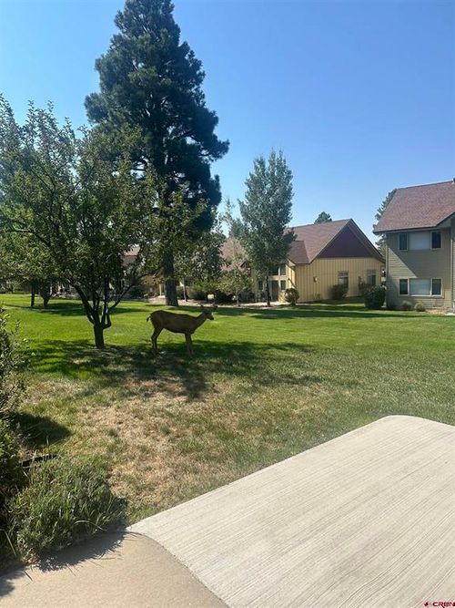 135 Eaton #1021 Drive, Pagosa Springs, CO, 81147 | Card Image