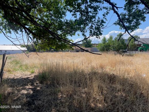TBD E 4th Ave, Eagar, AZ, 85925 | Card Image