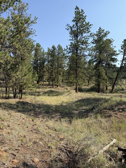 57 Democrat Cir, Westcliffe, CO, 81252 | Card Image