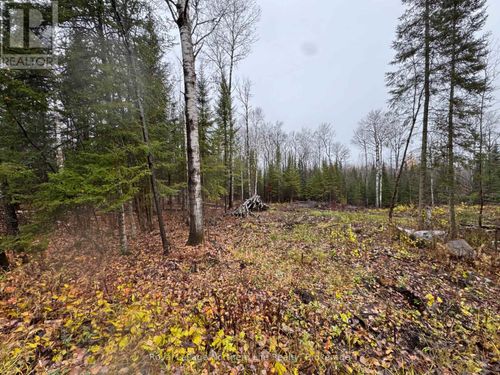 PT E1/2 Hillcrest Rd, Astorville, ON, P0H1B0 | Card Image