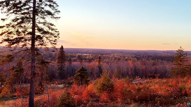 5241 Hut Two Rd, House other with 1 bedrooms, 0 bathrooms and null parking in Finland MN | Image 13