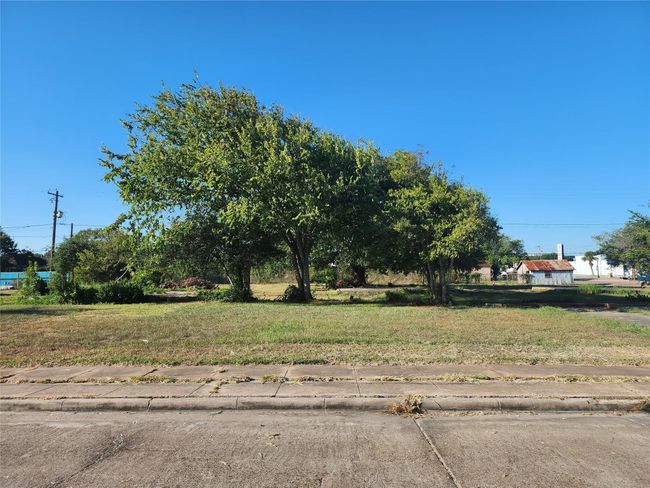 00 W Broad St, Home with 0 bedrooms, 0 bathrooms and null parking in Freeport TX | Image 8