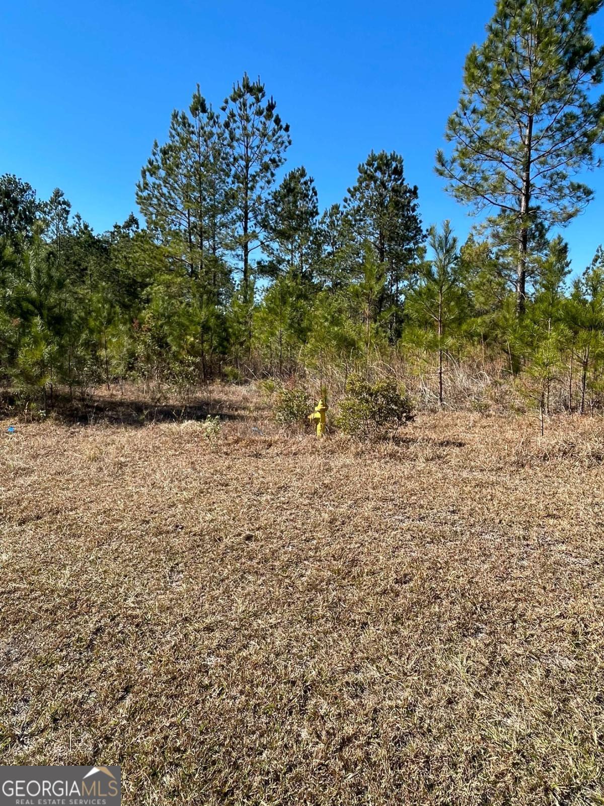 Land in Waynesville