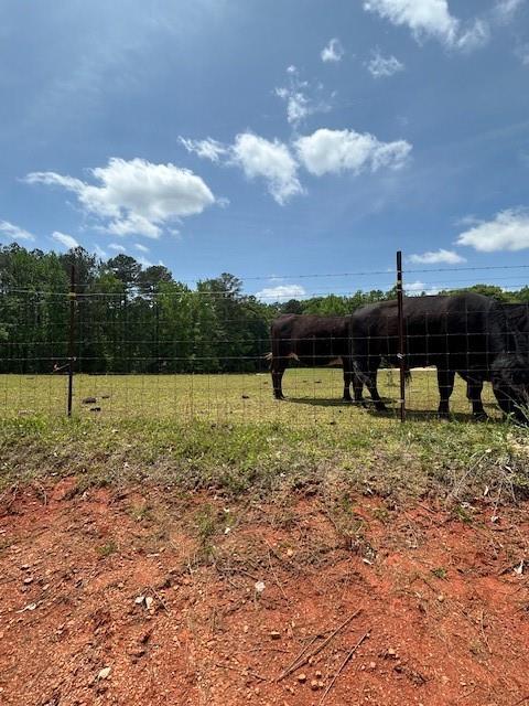 Land in Mcdonough 5