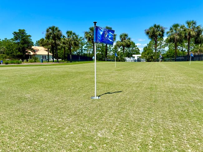 344 Royal Tern Ct, House other with 3 bedrooms, 2 bathrooms and 4 parking in Carrabelle FL | Image 50