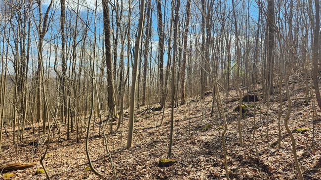 TRACT-2-PIKE-LAKE-GETAWA - 0 Pike Lake Rd, Home with 0 bedrooms, 0 bathrooms and null parking in Bainbridge OH | Image 31