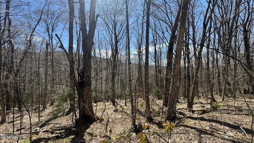 0 Aplendorf Avenue, Readsboro, VT, 05350 | Card Image