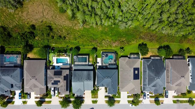 14975 Renaissance Ave, House other with 4 bedrooms, 3 bathrooms and null parking in ODESSA FL | Image 73