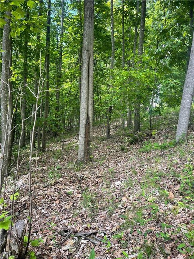15 Dogwood Rd, Home with 0 bedrooms, 0 bathrooms and null parking in Moravian Falls NC | Image 13