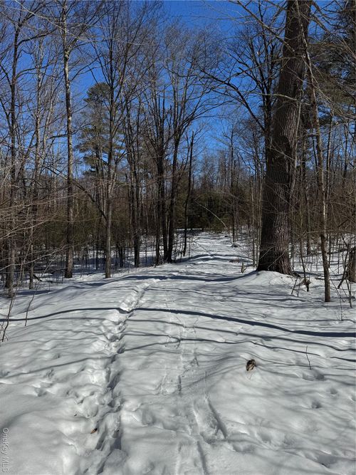 Lot 32 Woodstone Trl, Smallwood, NY, 12778 | Card Image
