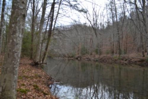 Lot 151 Steel Tram Rdg, Crawford, TN, 38554 | Card Image