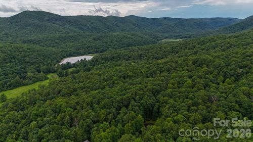 2324-364 & 365 Big Bear Trail, Zirconia, NC, 28790 | Card Image