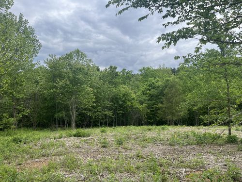 0 Old Mail Rd, Duck River, TN, 38454 | Card Image