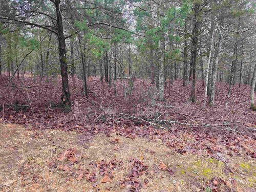 L-86, 87 B-2 Gettysburg Drive, Cherokee Village, AR, 72529 | Card Image