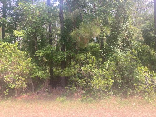 230 Palm Way, Georgetown, FL, 32139 | Card Image