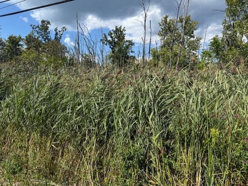 1366 Westside Dr, Gates, NY, 14624-3850 | Card Image