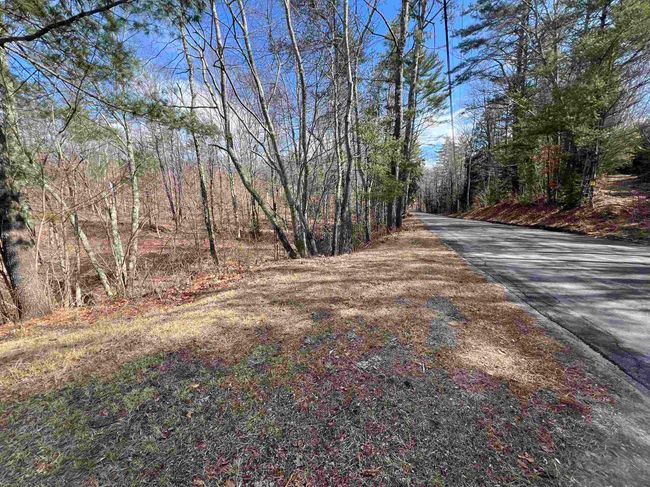 7 Lake Shore Dr, Home with 0 bedrooms, 0 bathrooms and null parking in Winchester NH | Image 7