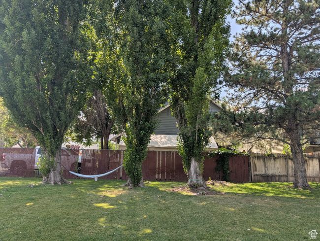 View of yard | Image 33