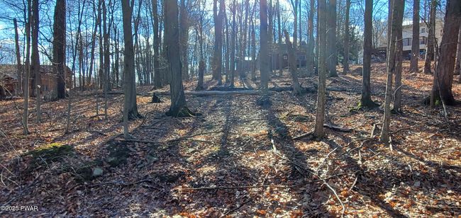Lot | Image 6