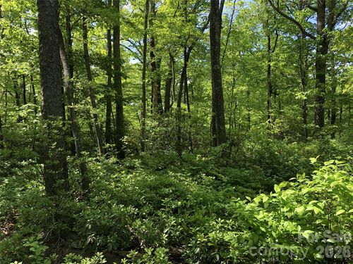 17-00 Millard Crossing, Hendersonville, NC, 28792 | Card Image