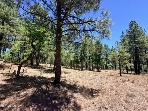 428-4215 Apache Dr, Happy Jack, AZ, 86024-8615 | Card Image