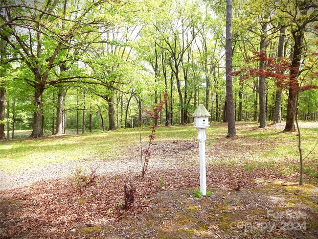 Pond 2 | Image 18