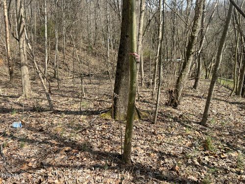 117 Icy Ln, Elizabethton, TN, 37643-5313 | Card Image