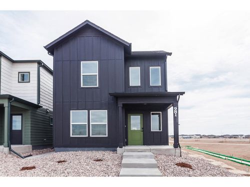 981 Trumpet Ln, Windsor, CO, 80550 | Card Image