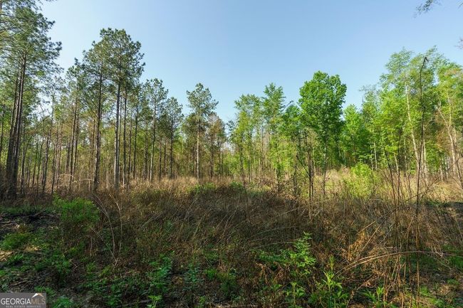 6053 Sun Hill Grange Rd, Home with 0 bedrooms, 0 bathrooms and null parking in Davisboro GA | Image 13