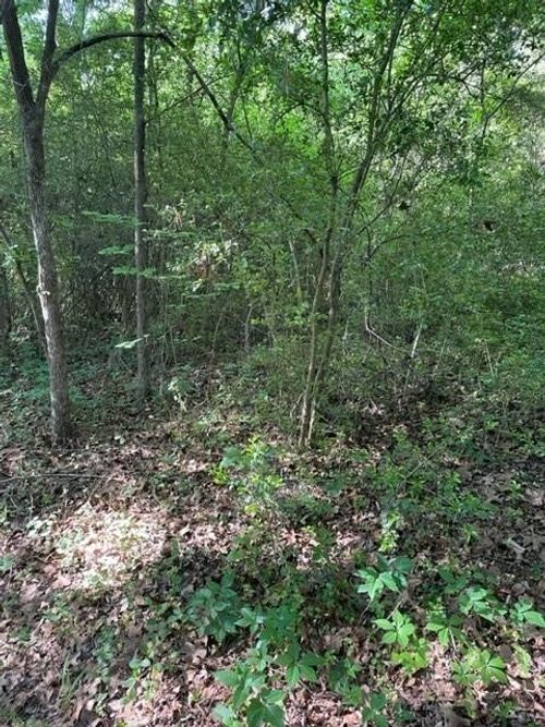 108 Trail Glenn Dr, Mabank, TX, 75156 | Card Image