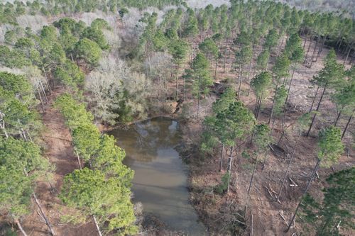 Tract A County Road 4037, Timpson, TX, 75975 | Card Image