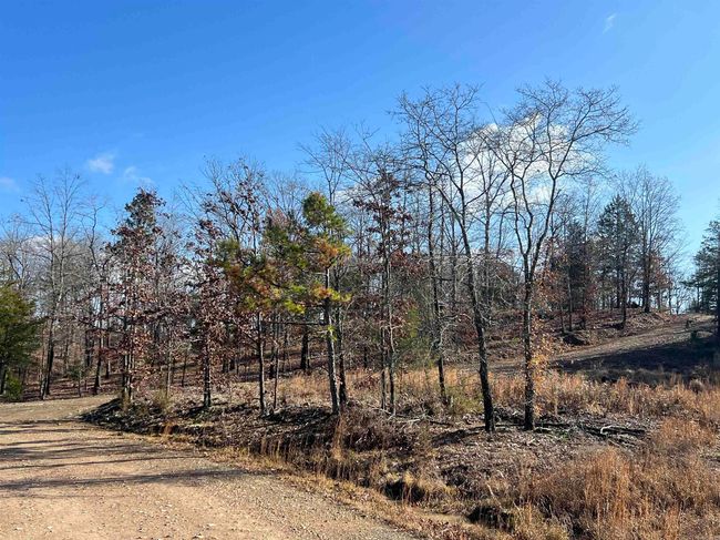 165 Mirage Ln, House other with 1 bedrooms, 1 bathrooms and null parking in Hatfield AR | Image 42