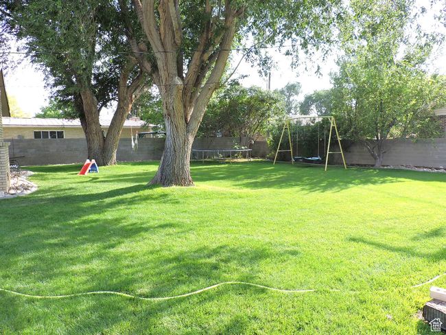 Beautiful Backyard | Image 51