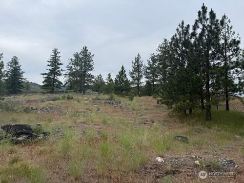 111 Tbd Patterson Creek, Tonasket, WA, 98855 | Card Image